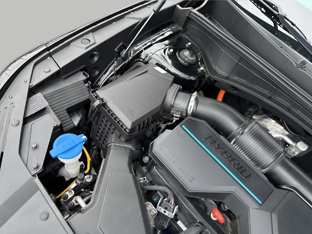 2021 Kia Sorento Hybrid Vehicle Photo in MANITOWOC, WI 54220-5838