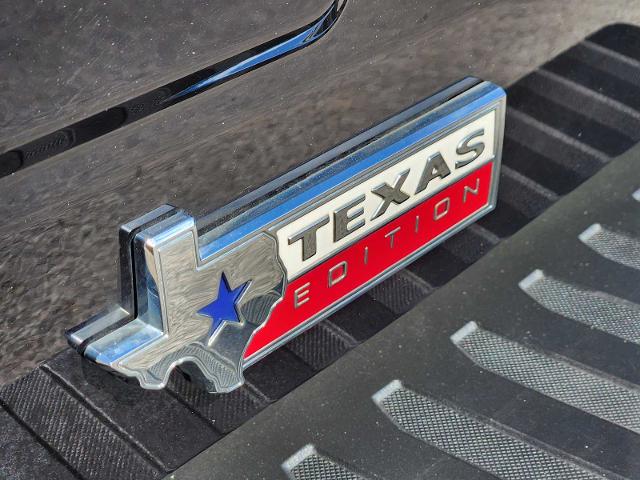 2020 Ford F-150 Vehicle Photo in DENTON, TX 76210-9321