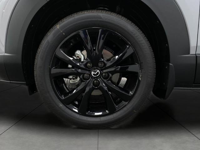 2025 Mazda CX-30 Vehicle Photo in Appleton, WI 54913