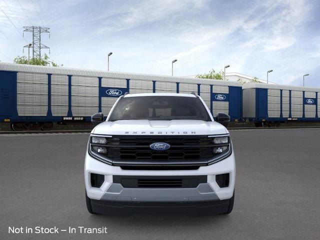 2025 Ford Expedition Vehicle Photo in Weatherford, TX 76087