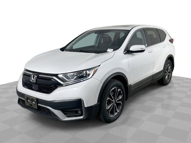 2020 Honda CR-V Vehicle Photo in GILBERT, AZ 85297-0402