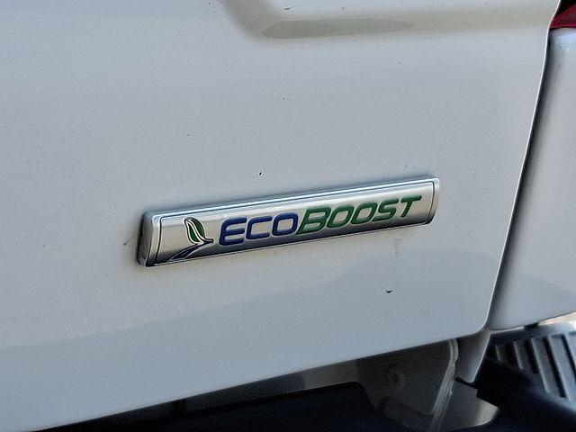 2019 Ford F-150 Vehicle Photo in DANBURY, CT 06810-5034