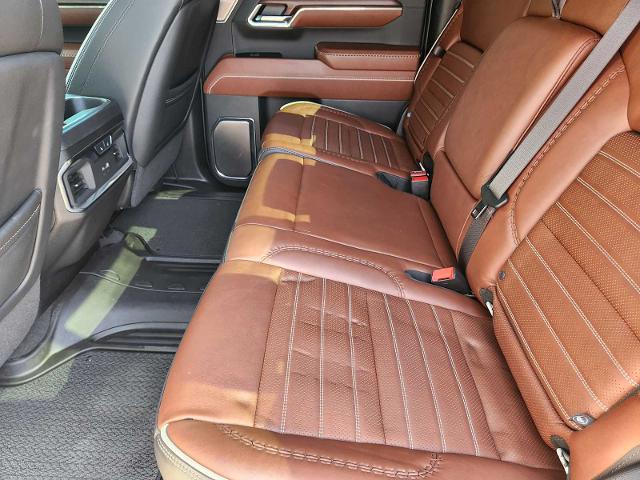 2024 GMC Sierra 1500 Vehicle Photo in DENTON, TX 76210-9321