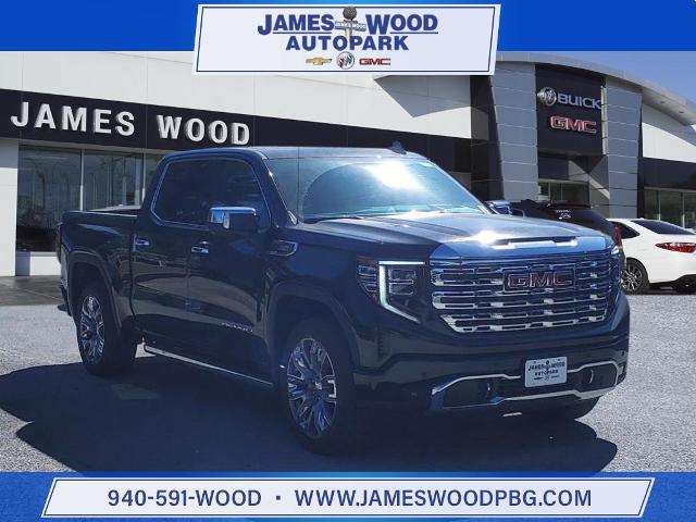 2025 GMC Sierra 1500 Vehicle Photo in Denton, TX 76205