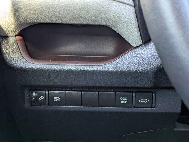 2023 Toyota RAV4 Vehicle Photo in San Antonio, TX 78209