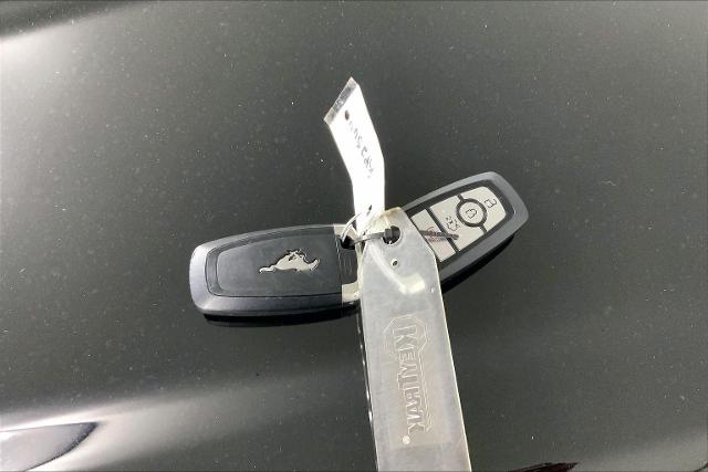 2023 Ford Mustang Vehicle Photo in INDEPENDENCE, MO 64055-1314