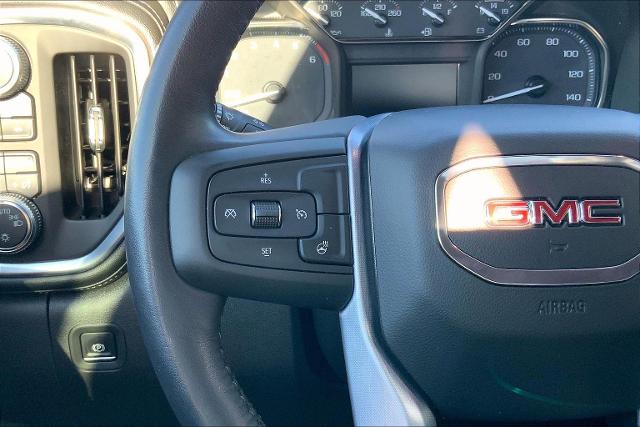 2020 GMC Sierra 1500 Vehicle Photo in INDEPENDENCE, MO 64055-1377