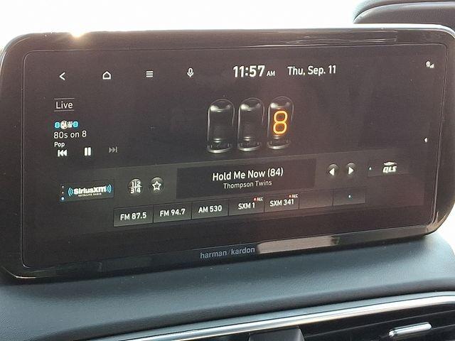 2021 Hyundai Santa Fe Vehicle Photo in DANBURY, CT 06810-5034