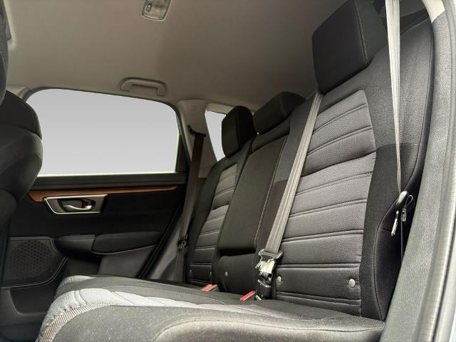 2022 Honda CR-V Vehicle Photo in Savannah, GA 31419