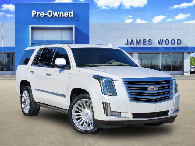 2018 Cadillac Escalade Vehicle Photo in DENTON, TX 76210-9321