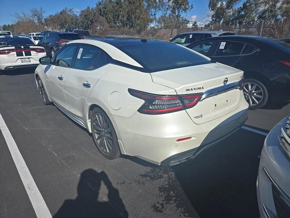 2019 Nissan Maxima Vehicle Photo in Cedar Rapids, IA 52402