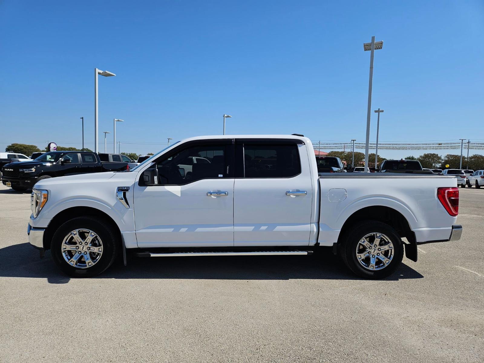 2023 Ford F-150 Vehicle Photo in Seguin, TX 78155