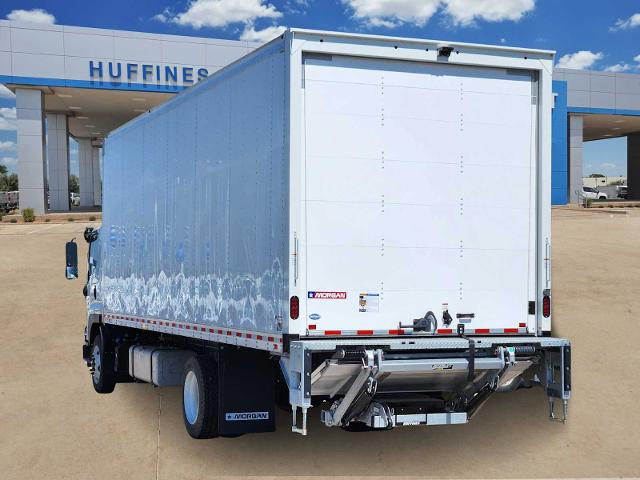 2025 Chevrolet 6500 XD LCF Diesel Vehicle Photo in LEWISVILLE, TX 75067