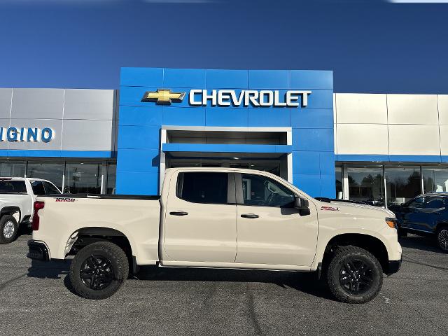 2026 Chevrolet Silverado 1500 Vehicle Photo in AMSTERDAM, NY 12010-6209