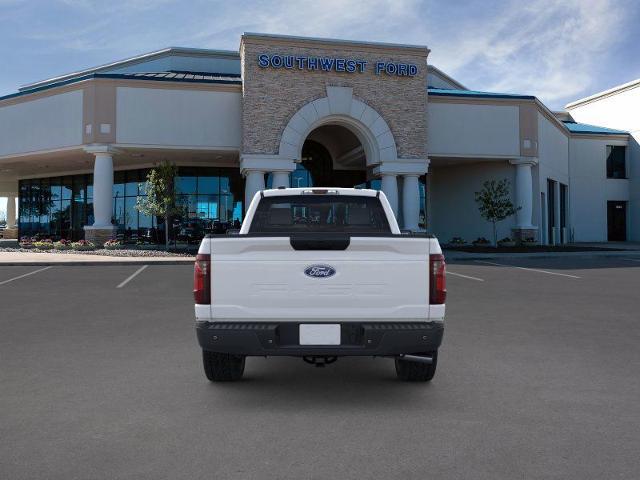 2025 Ford F-150 Vehicle Photo in Weatherford, TX 76087