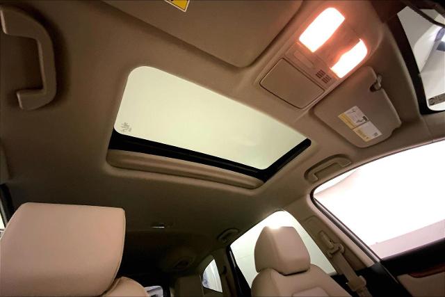 2022 Honda CR-V Vehicle Photo in KANSAS CITY, MO 64114-4502
