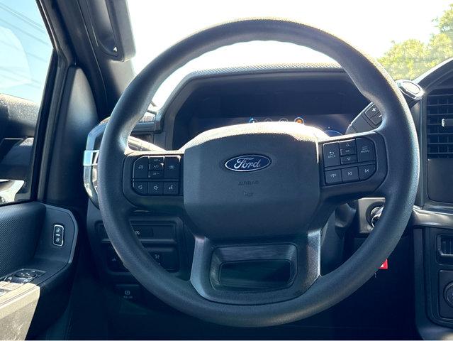 2025 Ford F-150 Vehicle Photo in Savannah, GA 31419