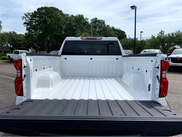 2025 Chevrolet Silverado 1500 Vehicle Photo in BEAUFORT, SC 29906-4218