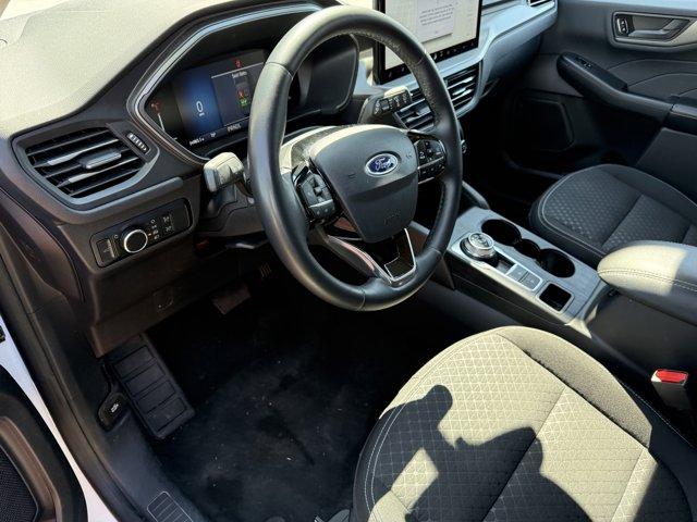2024 Ford Escape Vehicle Photo in Ogallala, NE 69153