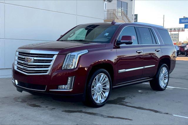 2019 Cadillac Escalade Vehicle Photo in TOPEKA, KS 66609-0000