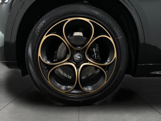 2025 Alfa Romeo Stelvio Vehicle Photo in Appleton, WI 54913