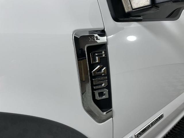 2019 Ford Super Duty F-450 DRW Vehicle Photo in GILBERT, AZ 85297-0402