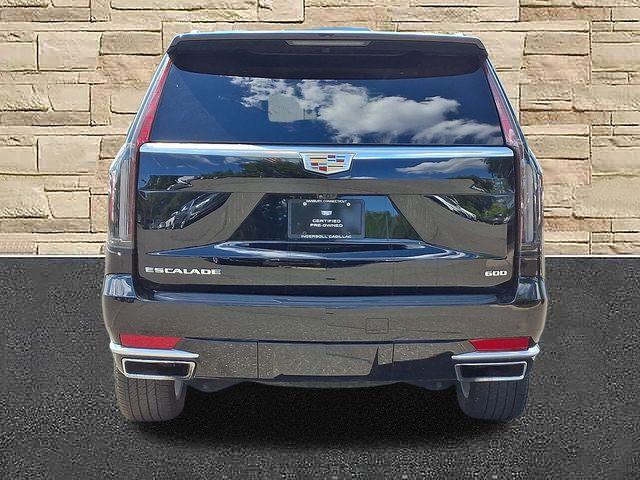 2024 Cadillac Escalade Vehicle Photo in DANBURY, CT 06810-5034