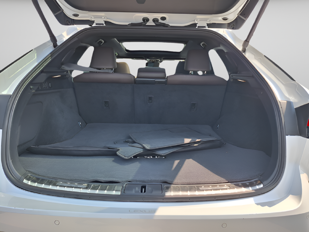 2024 Lexus RX photo 24 of 32