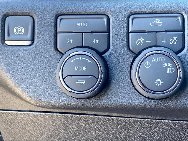 2025 Chevrolet Silverado 1500 Vehicle Photo in SAVANNAH, GA 31406-4513