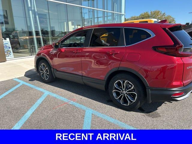 2022 Honda CR-V Vehicle Photo in Merrillville, IN 46410