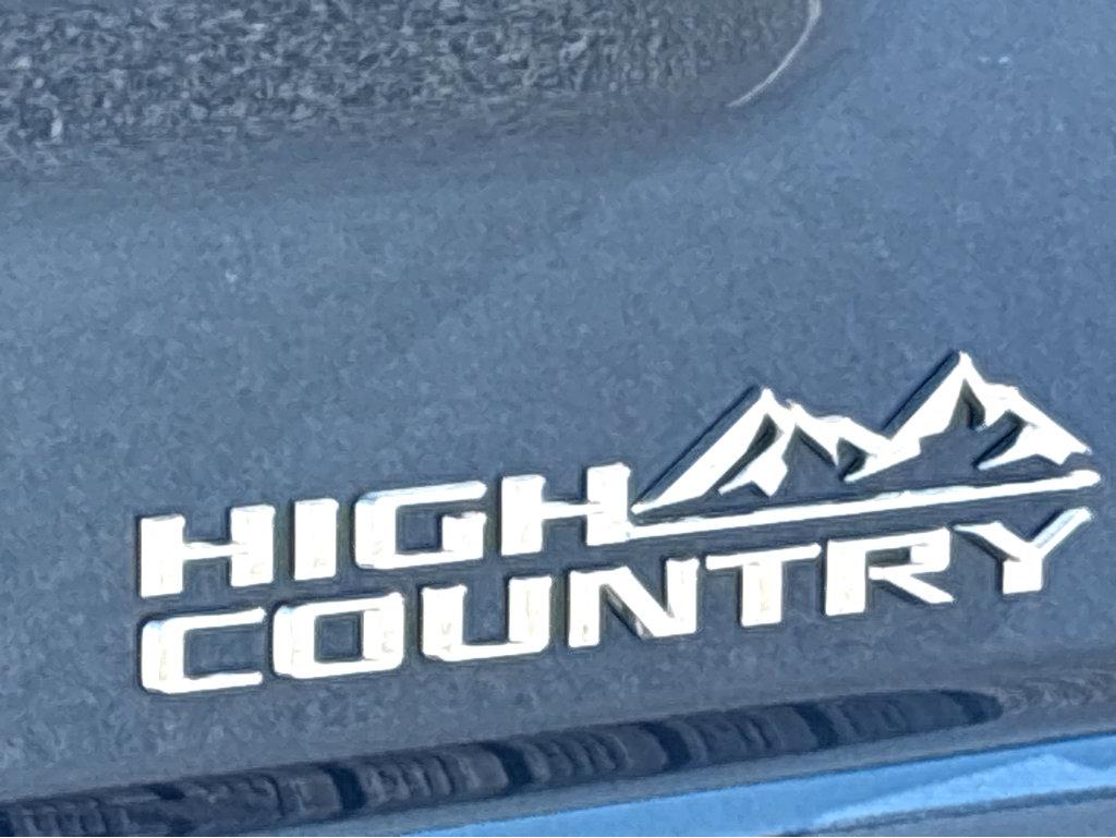 2025 Chevrolet Silverado 2500 HD Vehicle Photo in POOLER, GA 31322-3252