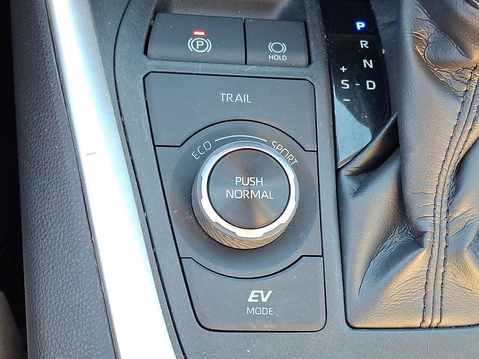 2019 Toyota RAV4 Vehicle Photo in Easton, PA 18045