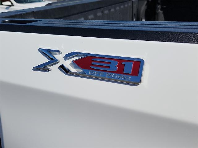 2023 GMC Sierra 1500 Vehicle Photo in EASTLAND, TX 76448-3020