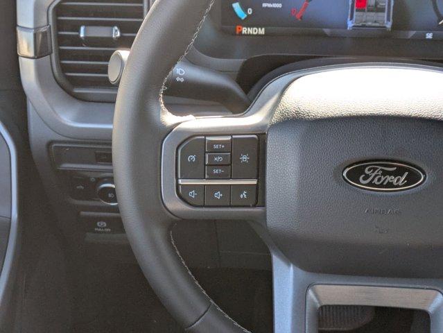 2025 Ford F-150 Vehicle Photo in SELMA, TX 78154-1460