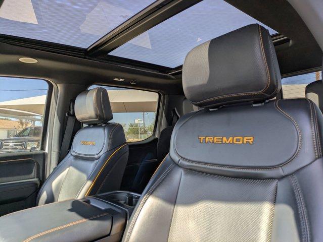 2023 Ford F-150 Vehicle Photo in SELMA, TX 78154-1459