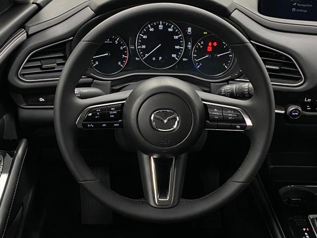 2025 Mazda CX-30 Vehicle Photo in Appleton, WI 54913