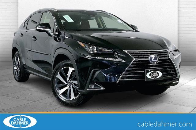 2020 Lexus NX 300h Vehicle Photo in Lees Summit, MO 64086