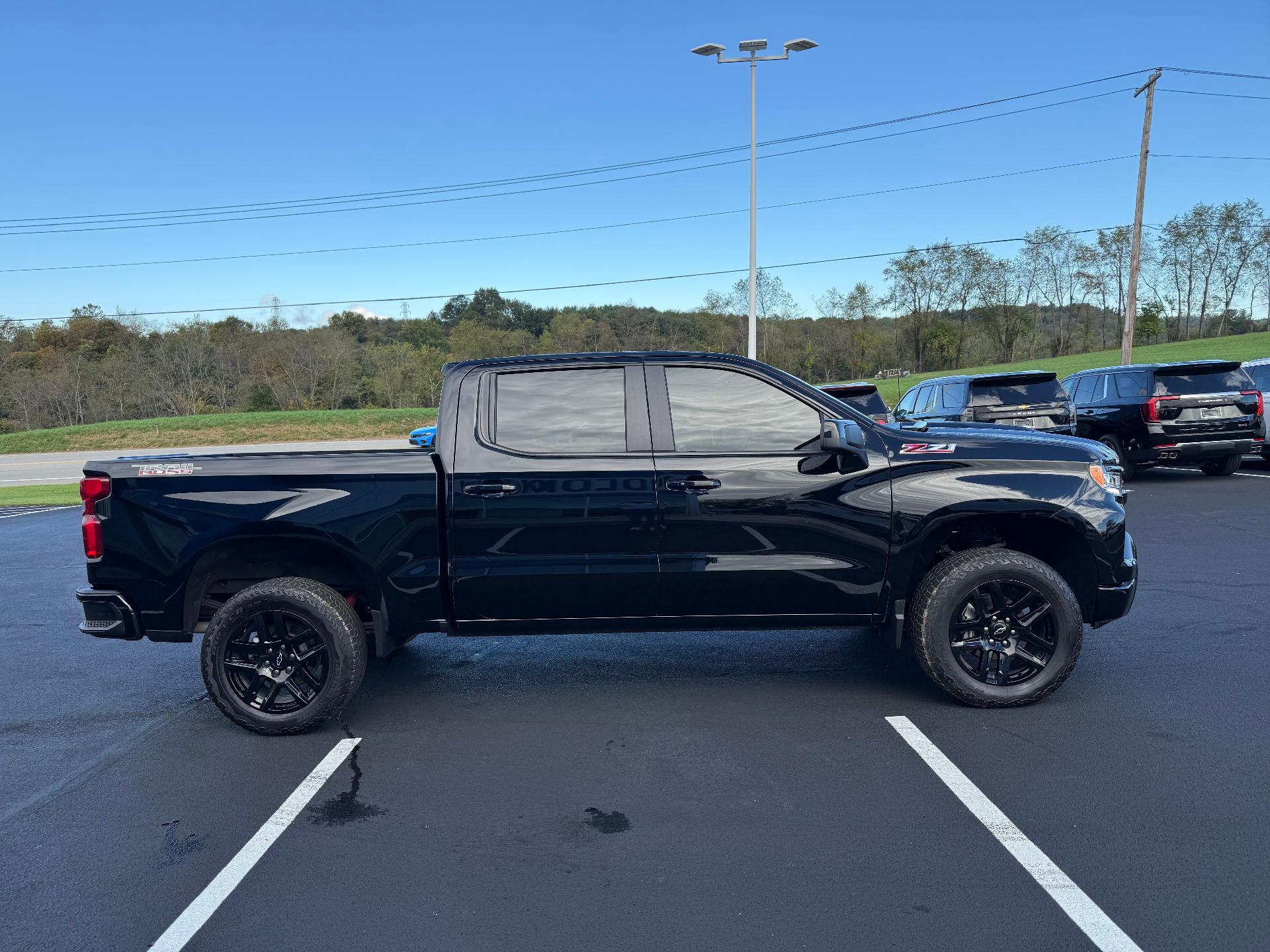 2025 Chevrolet Silverado 1500 photo 6 of 28