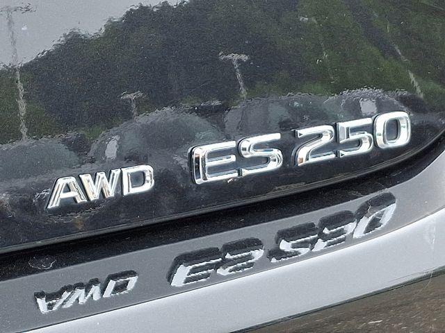 2021 Lexus ES Vehicle Photo in DANBURY, CT 06810-5034