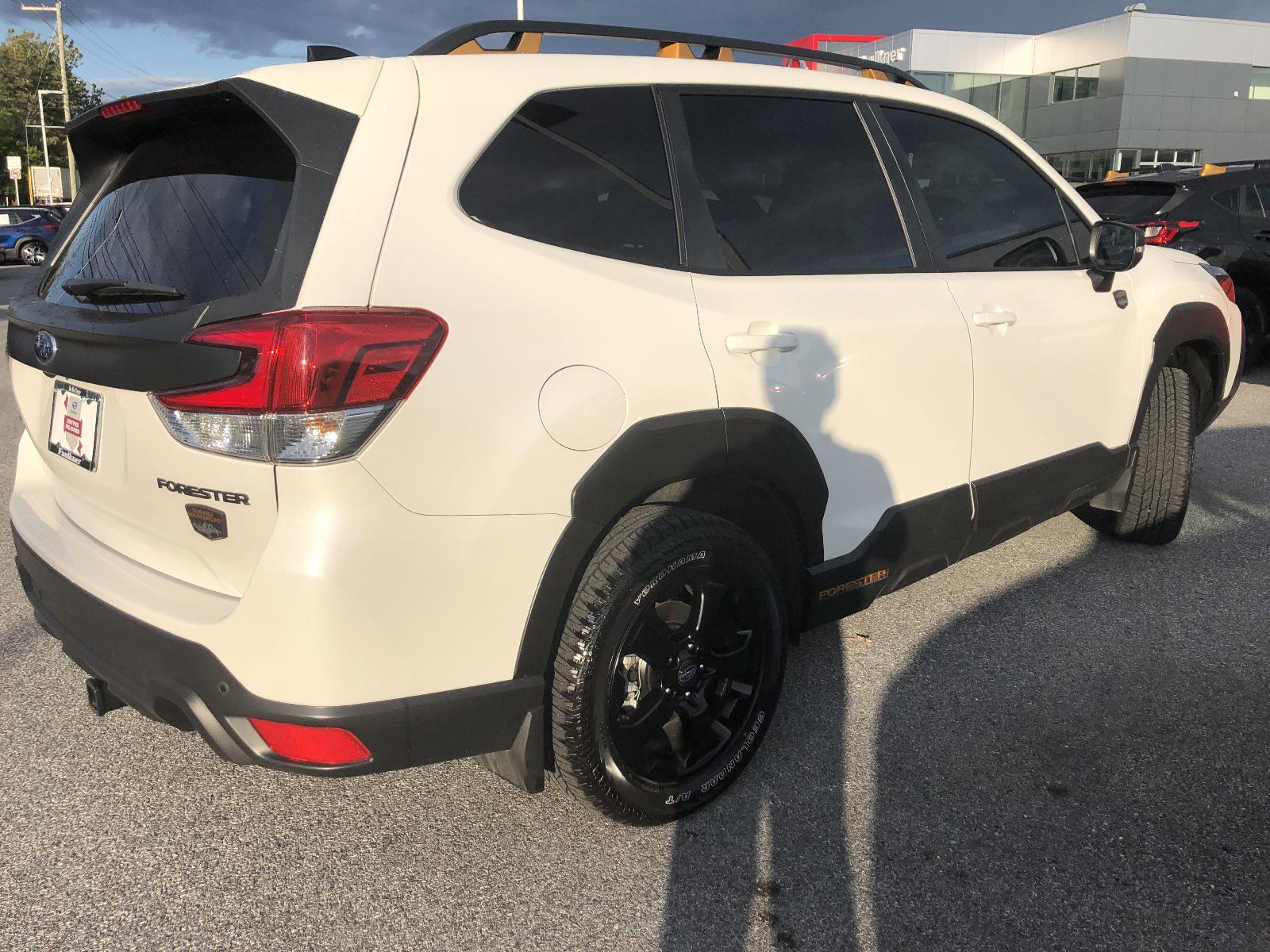 2024 Subaru Forester Vehicle Photo in Mechanicsburg, PA 17050