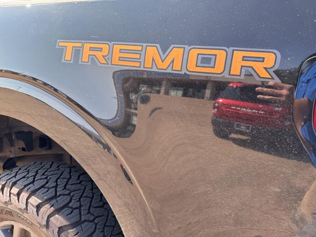 2022 Ford F-150 Vehicle Photo in Weatherford, TX 76087