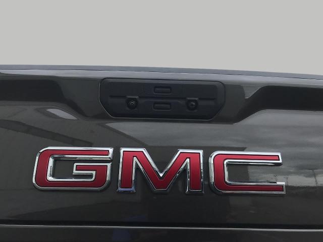 2019 GMC Sierra 1500 Vehicle Photo in NEENAH, WI 54956-2243