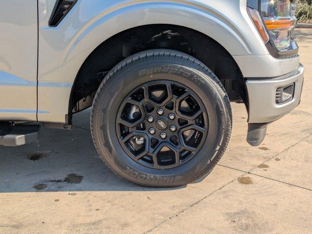 2025 Ford F-150 Vehicle Photo in SELMA, TX 78154-1460