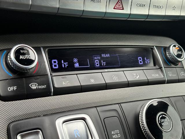 2020 Hyundai PALISADE Vehicle Photo in Statesboro, GA 30458