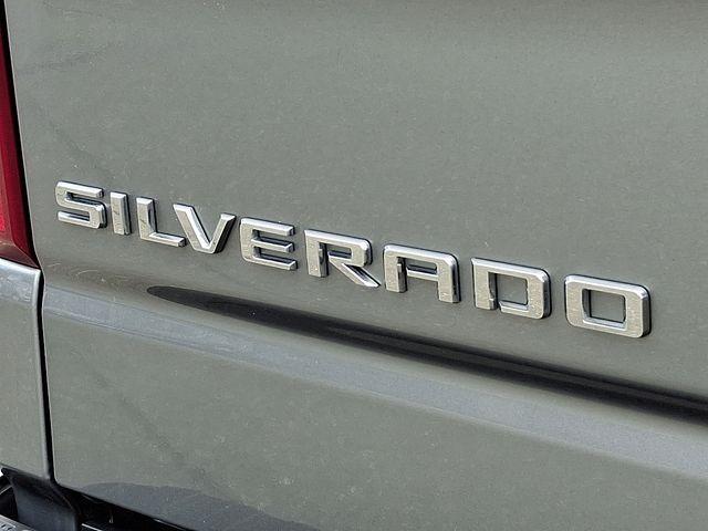 2024 Chevrolet Silverado 1500 Vehicle Photo in DANBURY, CT 06810-5034