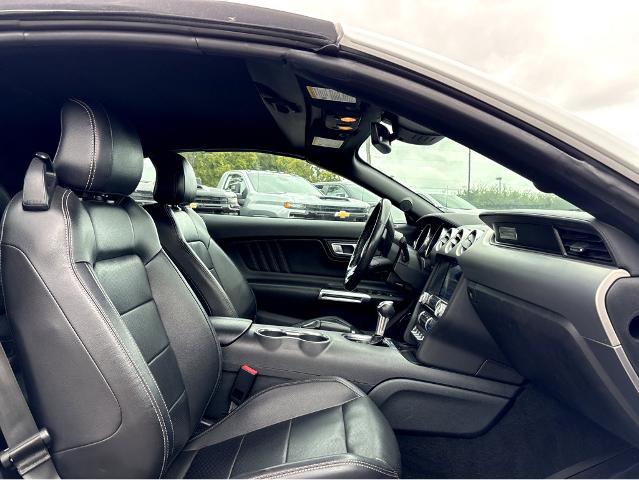 2022 Ford Mustang Vehicle Photo in BEAUFORT, SC 29906-4218