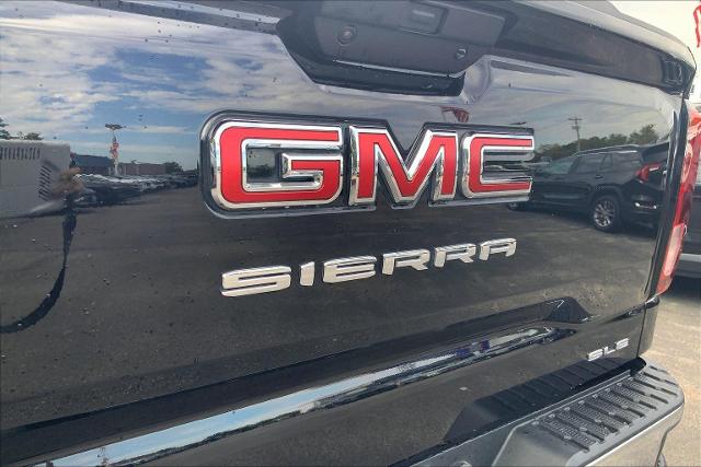 2019 GMC Sierra 1500 Vehicle Photo in INDEPENDENCE, MO 64055-1377