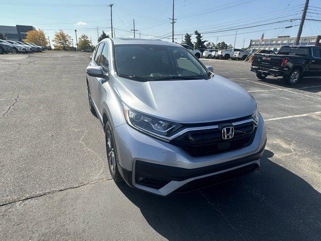 2022 Honda CR-V Vehicle Photo in ROCHESTER HILLS, MI 48307-2741