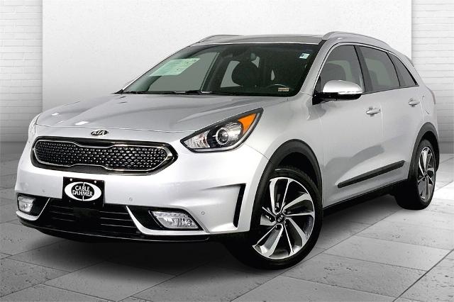 2019 Kia Niro Vehicle Photo in Lees Summit, MO 64086
