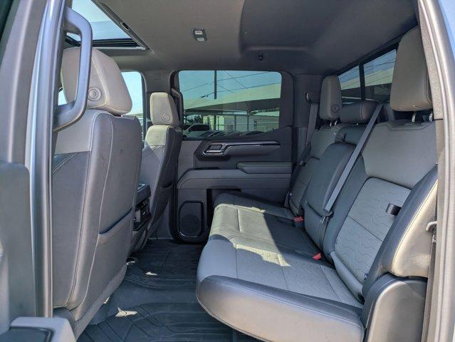 2023 Chevrolet Silverado 1500 Vehicle Photo in SELMA, TX 78154-1459